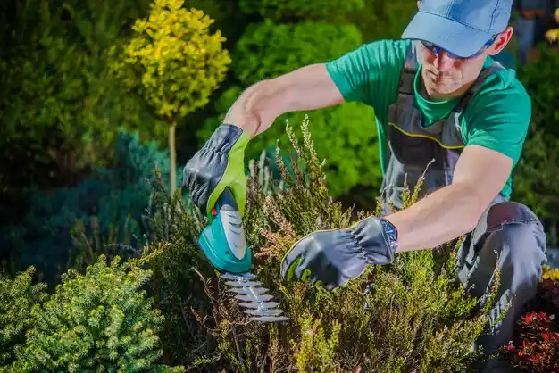 landscaping services Cold Spring Harbor